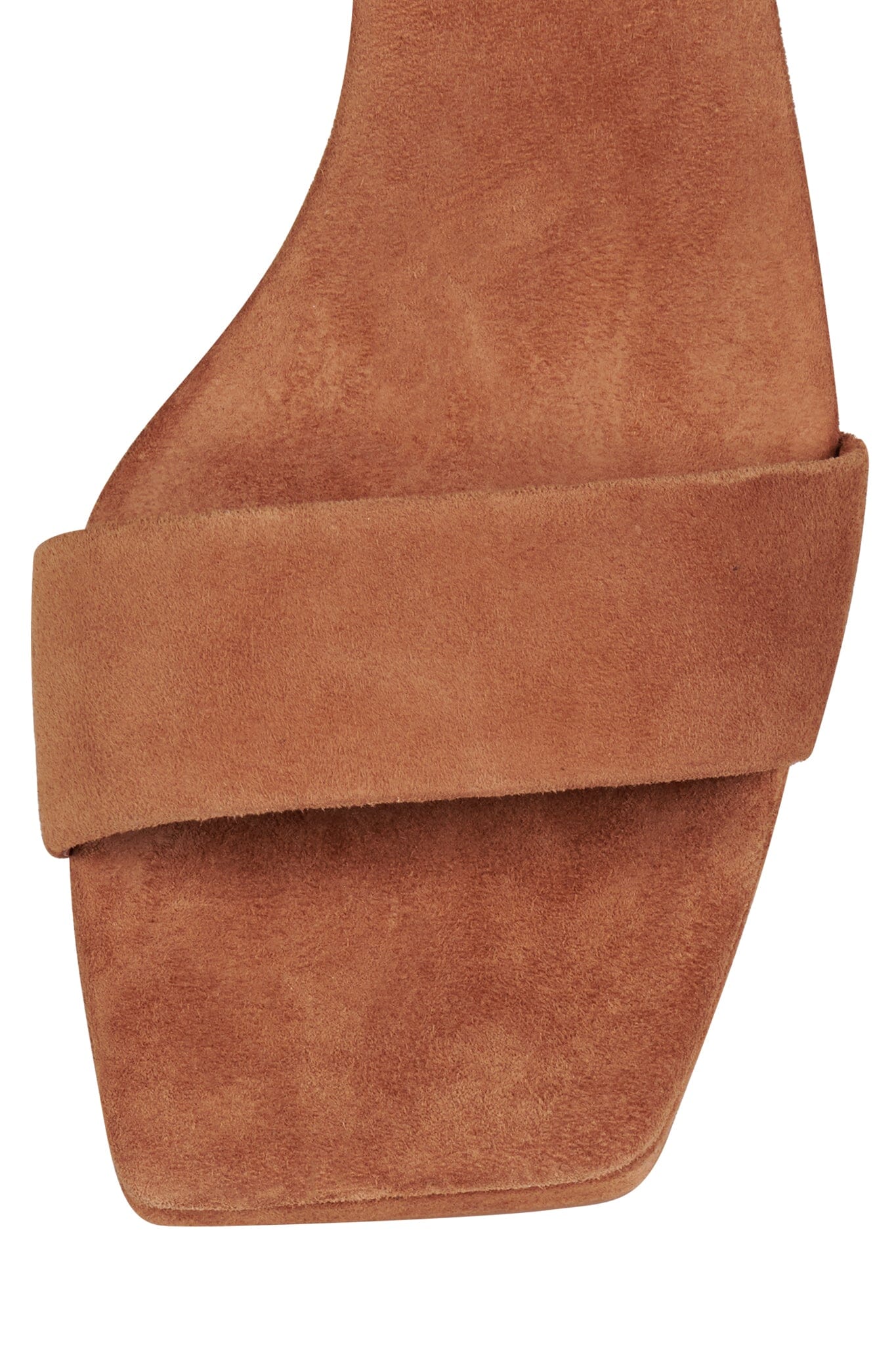  DANITY-NB